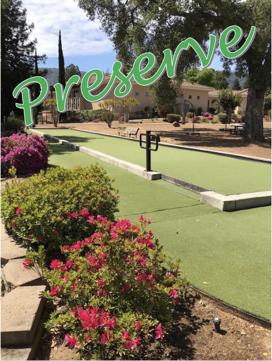 Preserve logo